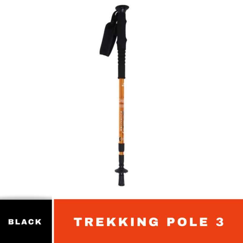 Eiger trekking pole 3 section hotsell