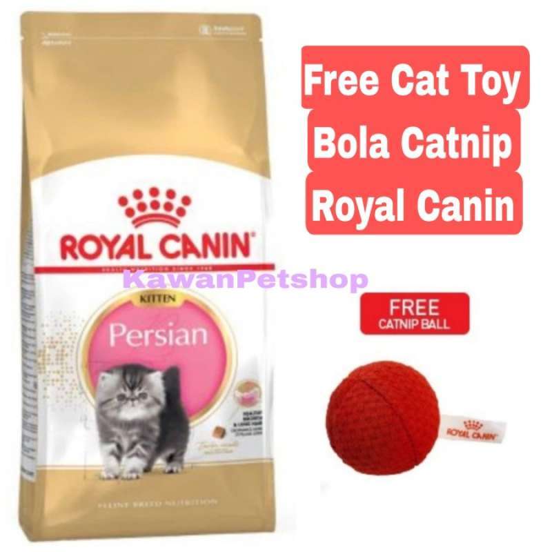 Rc deals 32 kitten