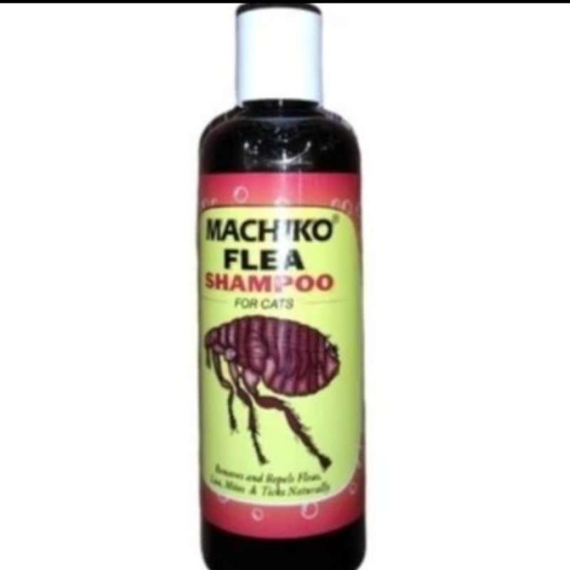 Machiko shampoo top