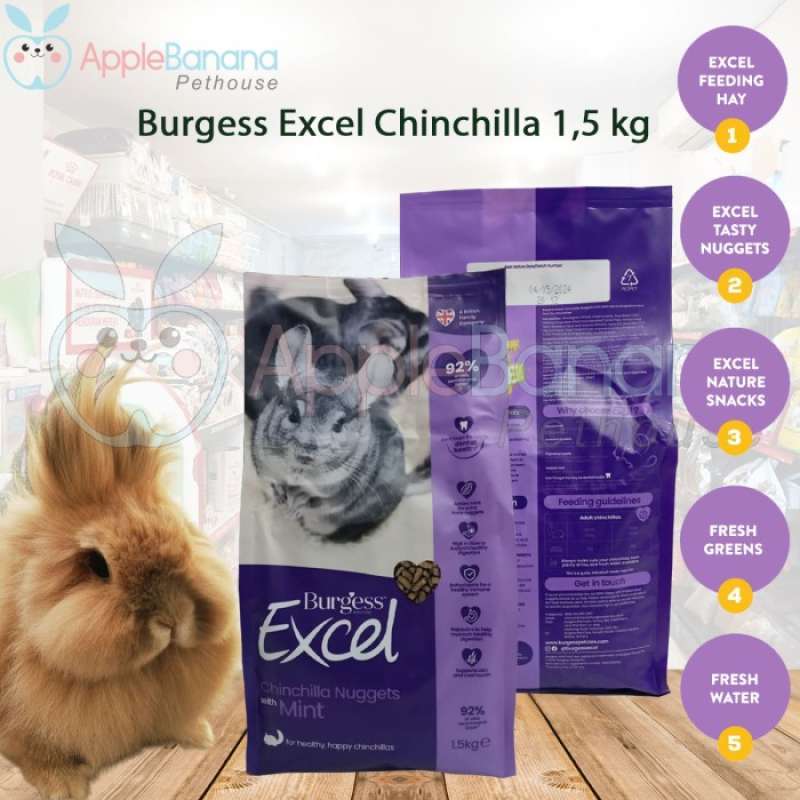 Burgess chinchilla best sale