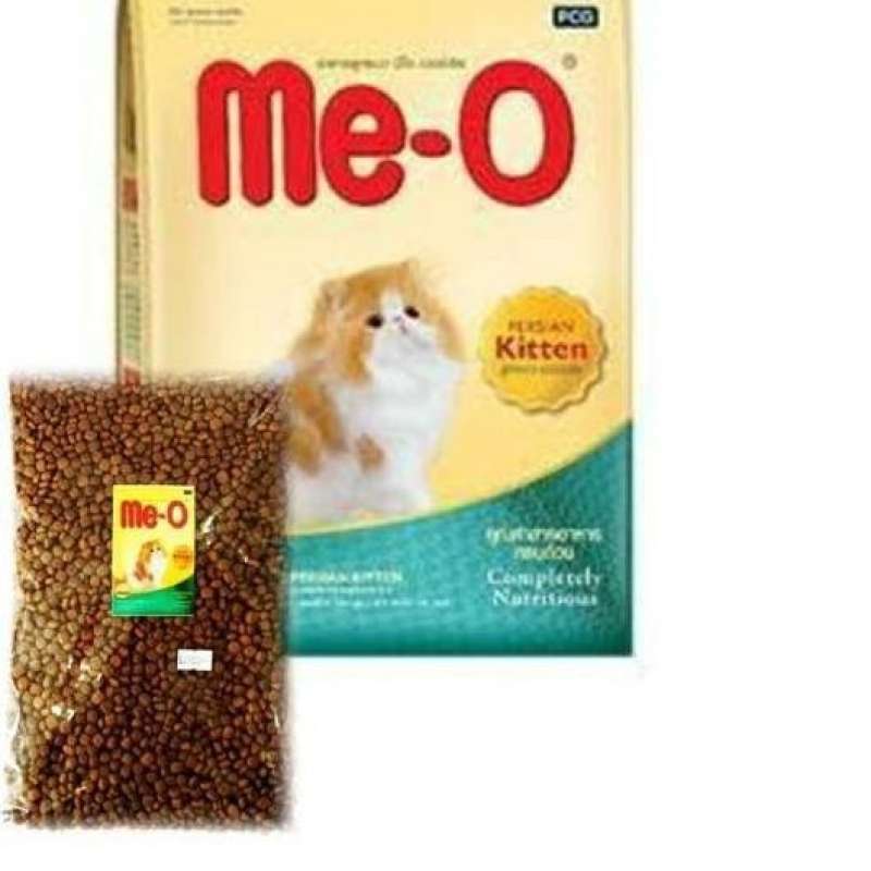 Meo new arrivals persian kitten