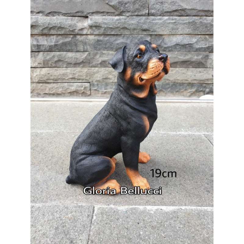 A9 rottweilers clearance