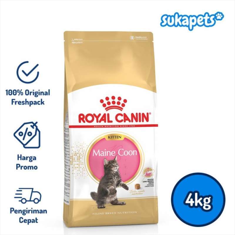 Royal canin maine coon kitten 4 kg discount