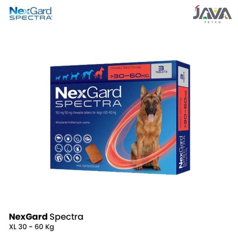 Nexgard spectra top xl dog