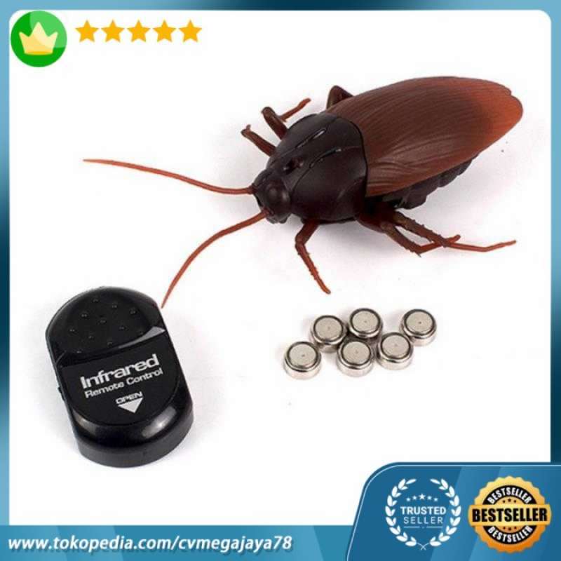 Giant hotsell roach prank