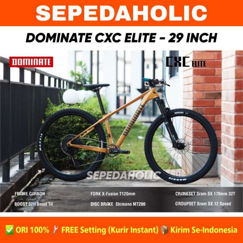 Mtb best sale dominate carbon