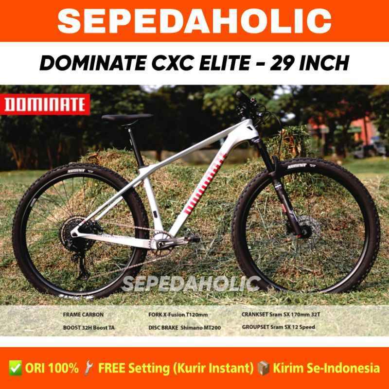 Mtb sales dominate carbon