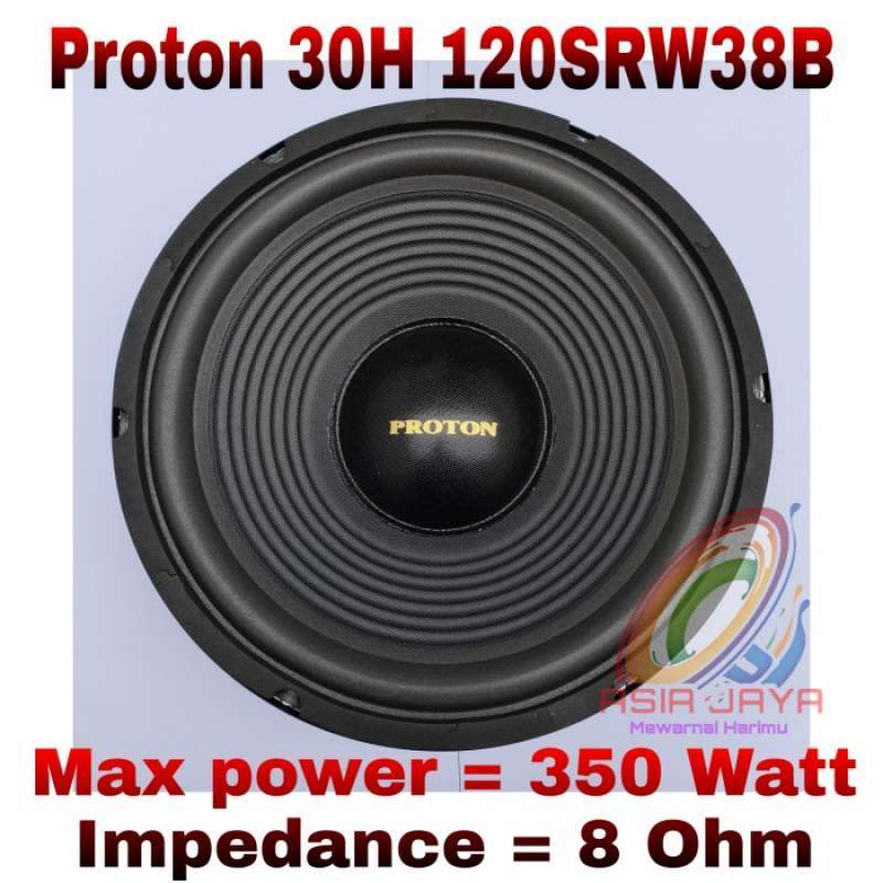 Speaker proton 12 inch online
