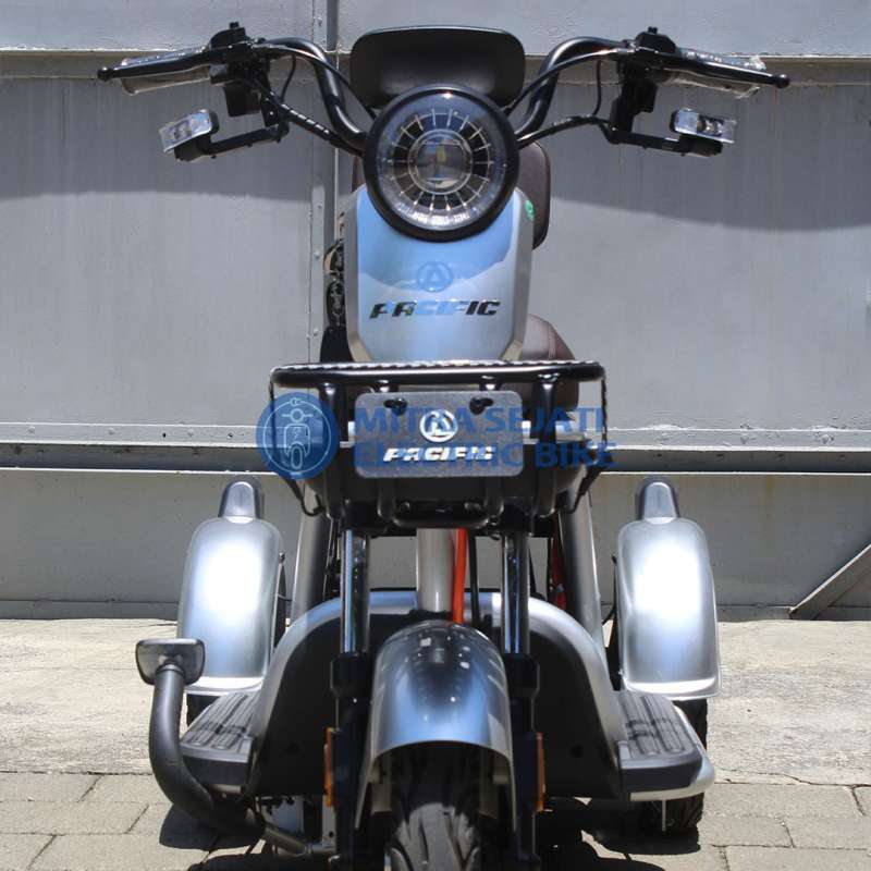 Pacific discount viper bike