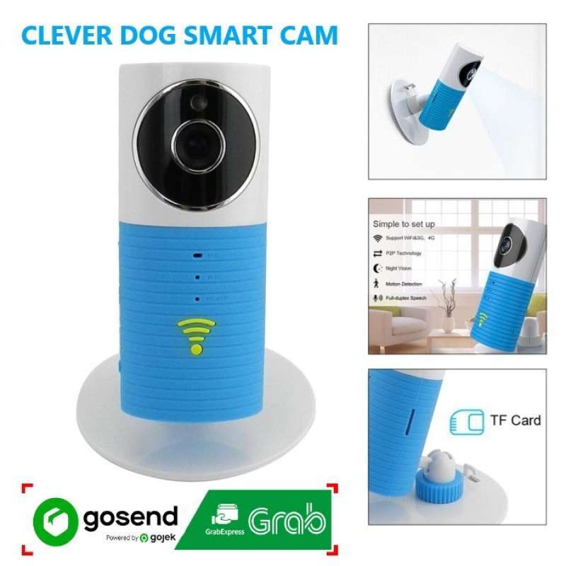 Clever dog set up deals