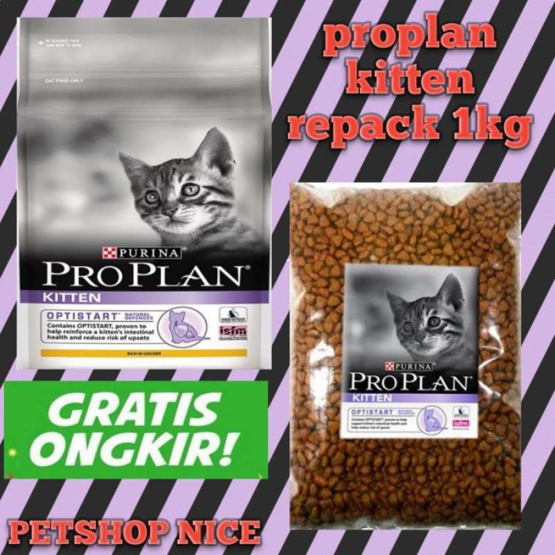 Harga pro deals plan kitten repack