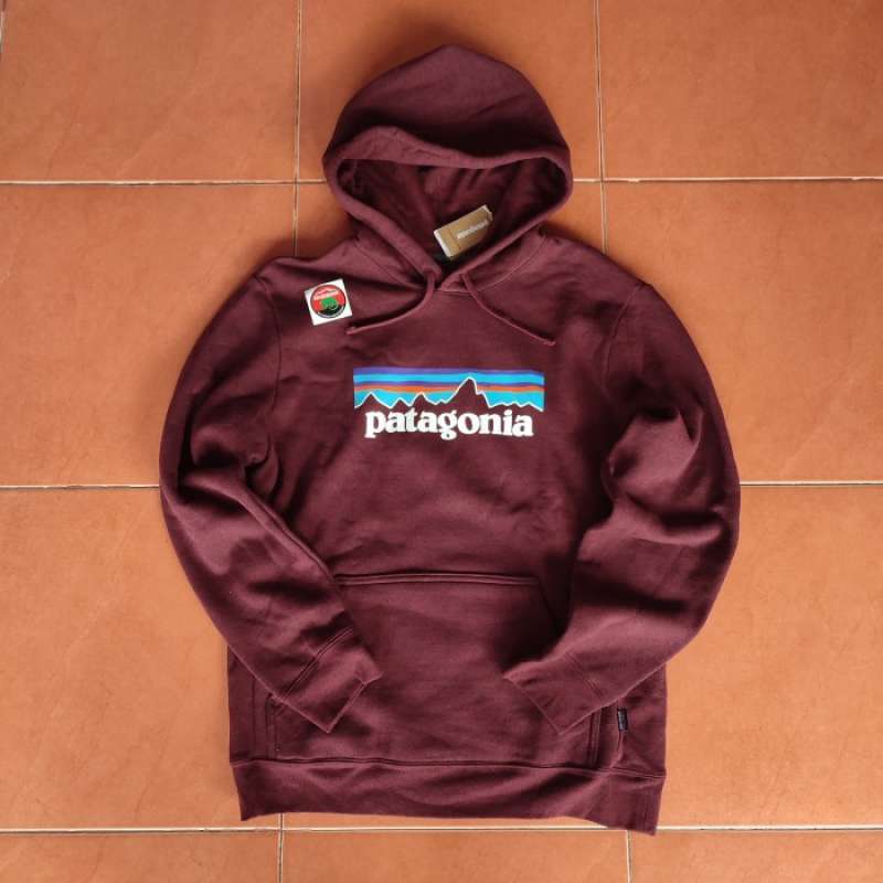 Hoodie patagonia original on sale