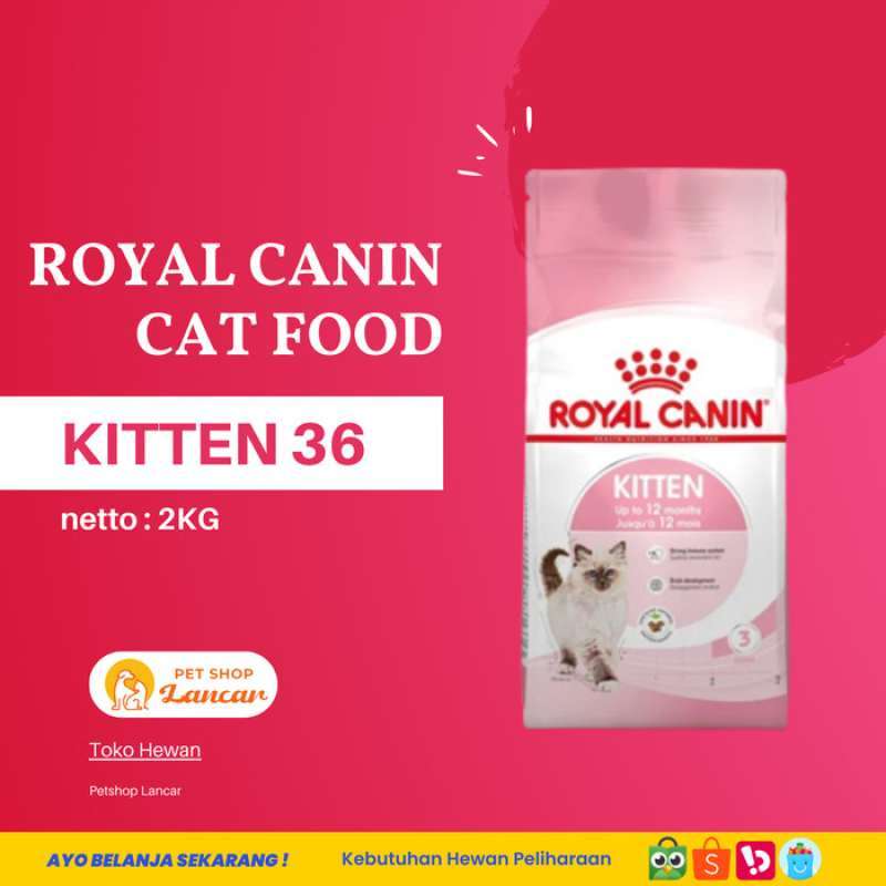 Royal canin kitten 36 2kg top
