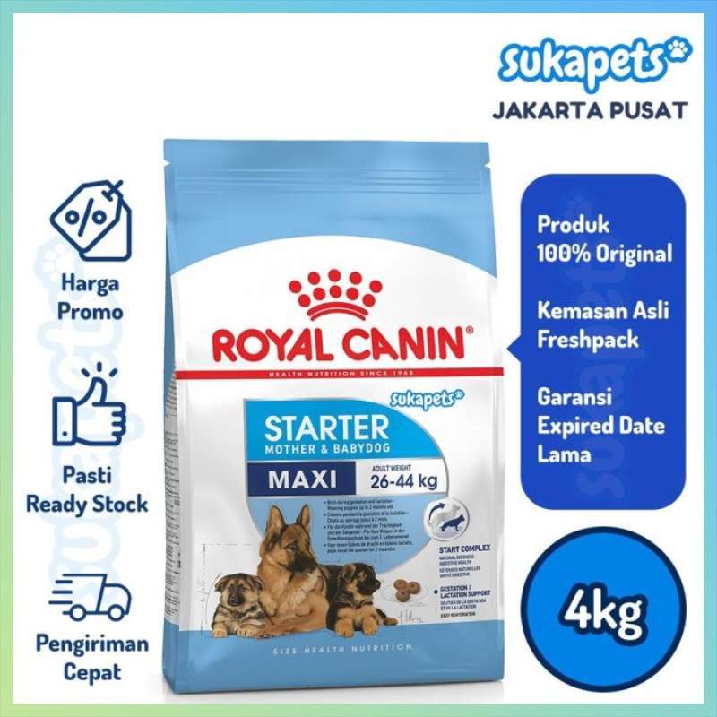 Royal canin maxi store starter 4 kg