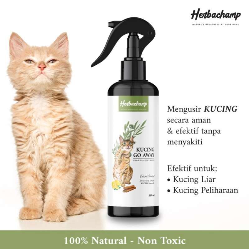 Cat go away spray online