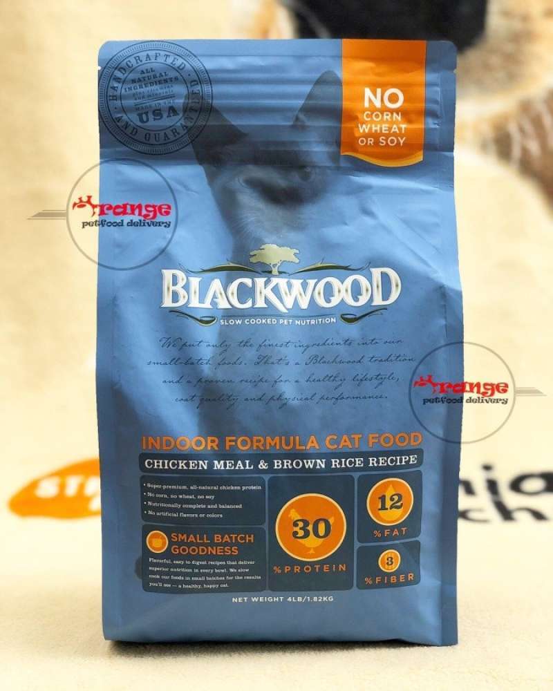 Blackwood kitten hotsell