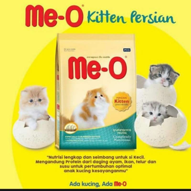 Meo persian sales kitten food