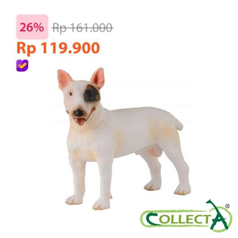 Jual miniature bull best sale terrier
