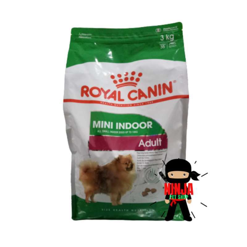 Mini indoor adult 2025