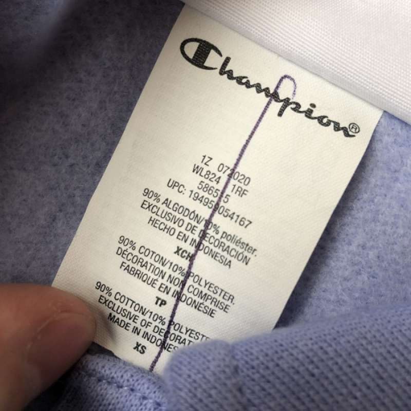 Champion uo exclusive hotsell henley button sweatshirt