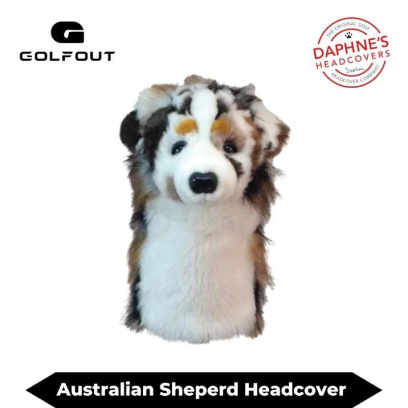 Jual sales australian shepherd