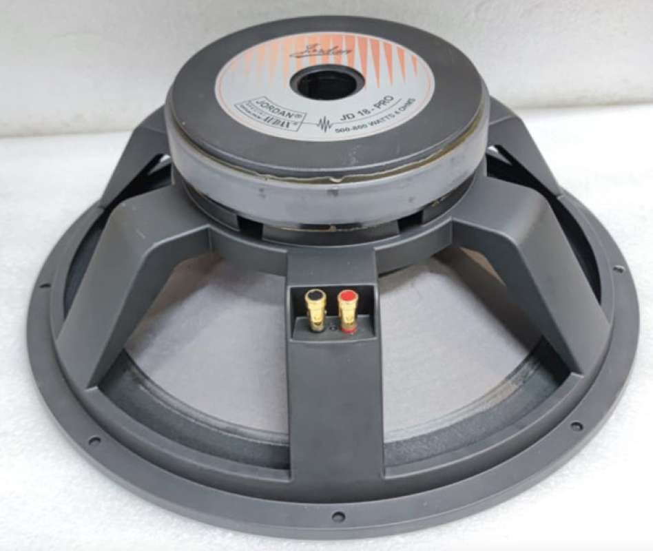 Speaker jordan 10 sales inch