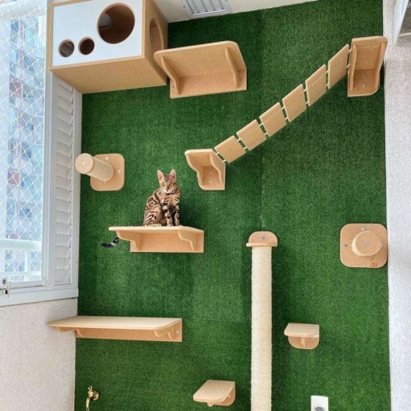 Harga cat condo new arrivals
