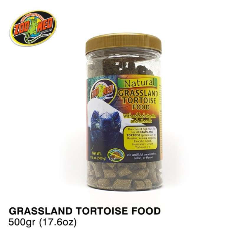 Zoomed grassland tortoise online food
