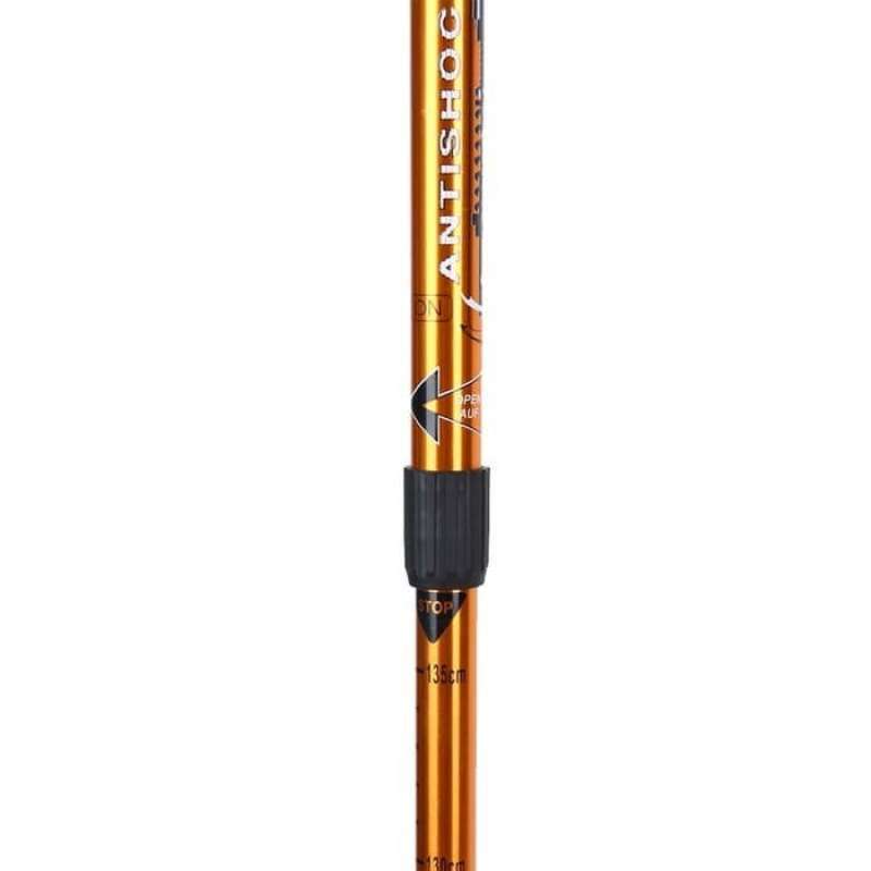 Eiger trekking pole 3 section 2025