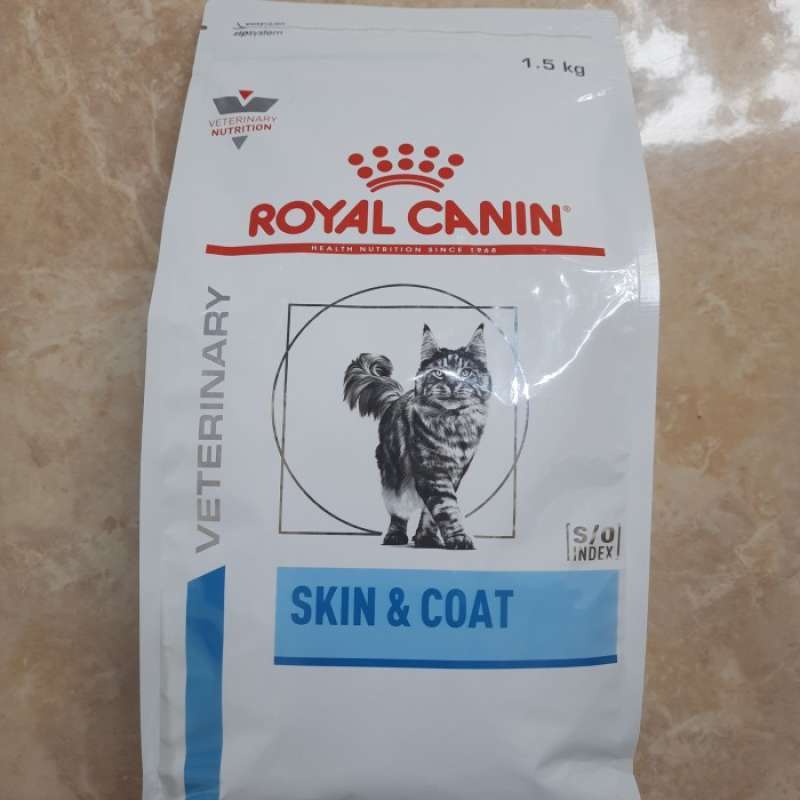 Rc skin sale and coat