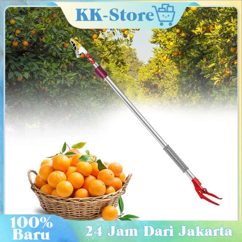 4m clearance tree pruner