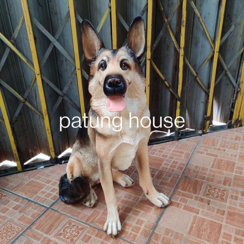 Jual shop german shepherd