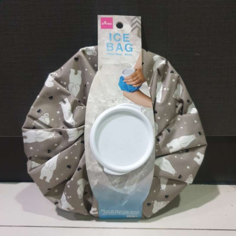 Daiso ice sale bag