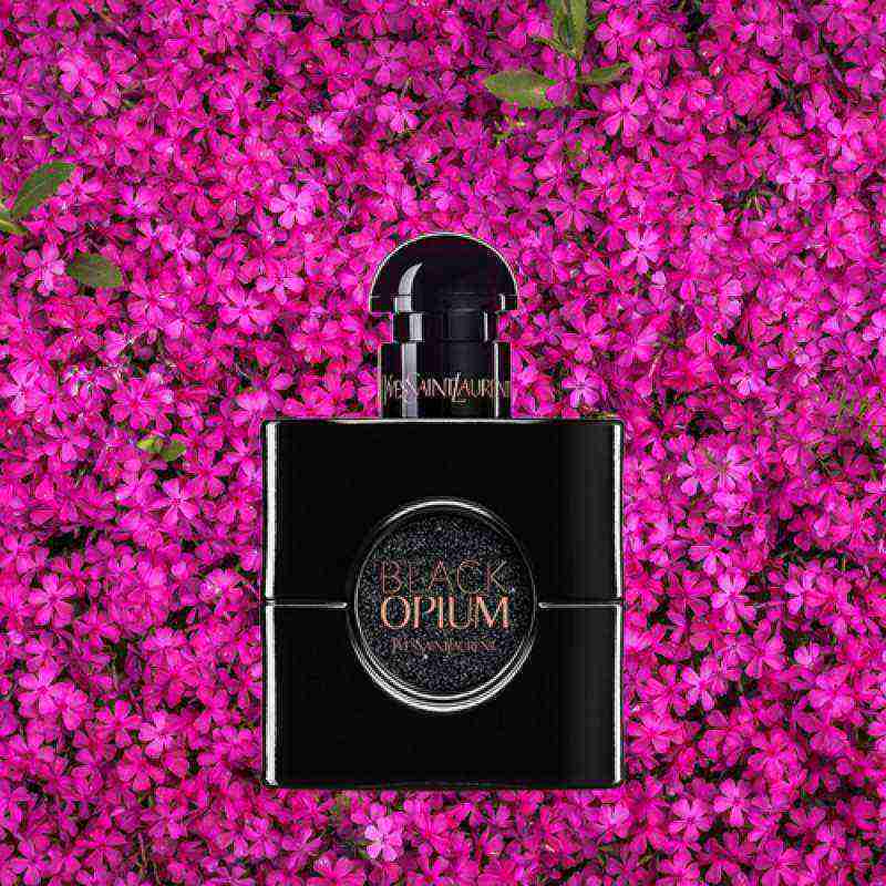 Parfume Black Opium Ori Lengkap Harga Terbaru Februari 2024 Blibli