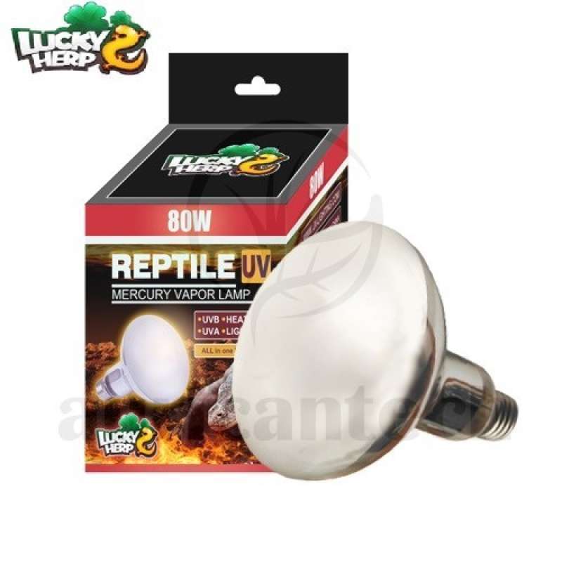 Promo Lucky Herp Mercury Vapor Bulb Lamp 80 watt UVA UVB reptil