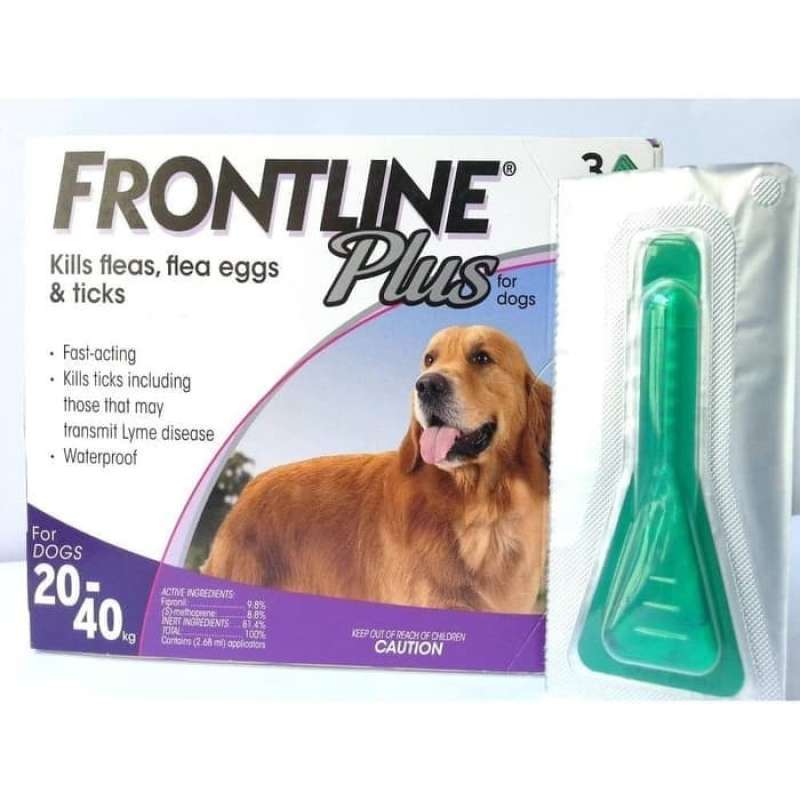 Frontline anjing 2025