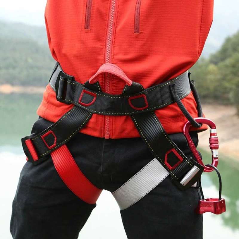 Belt harness 2025