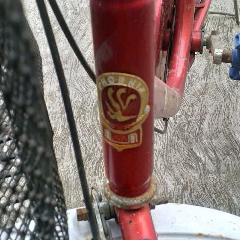 Sepeda minion raleigh discount