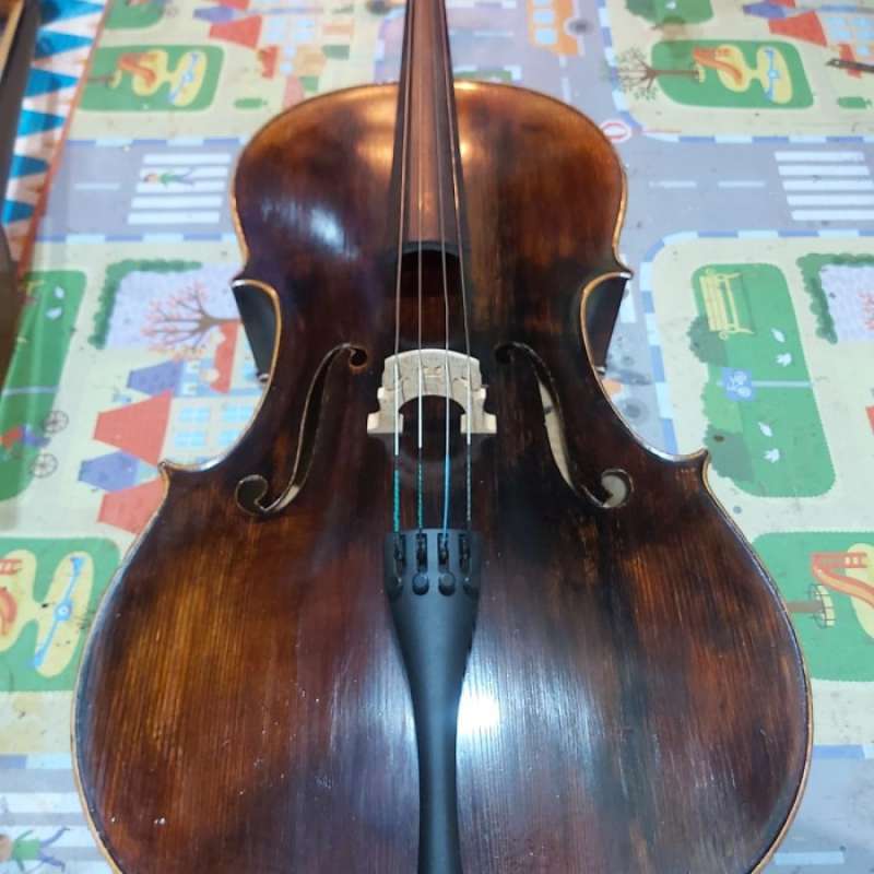 Synwin cello online