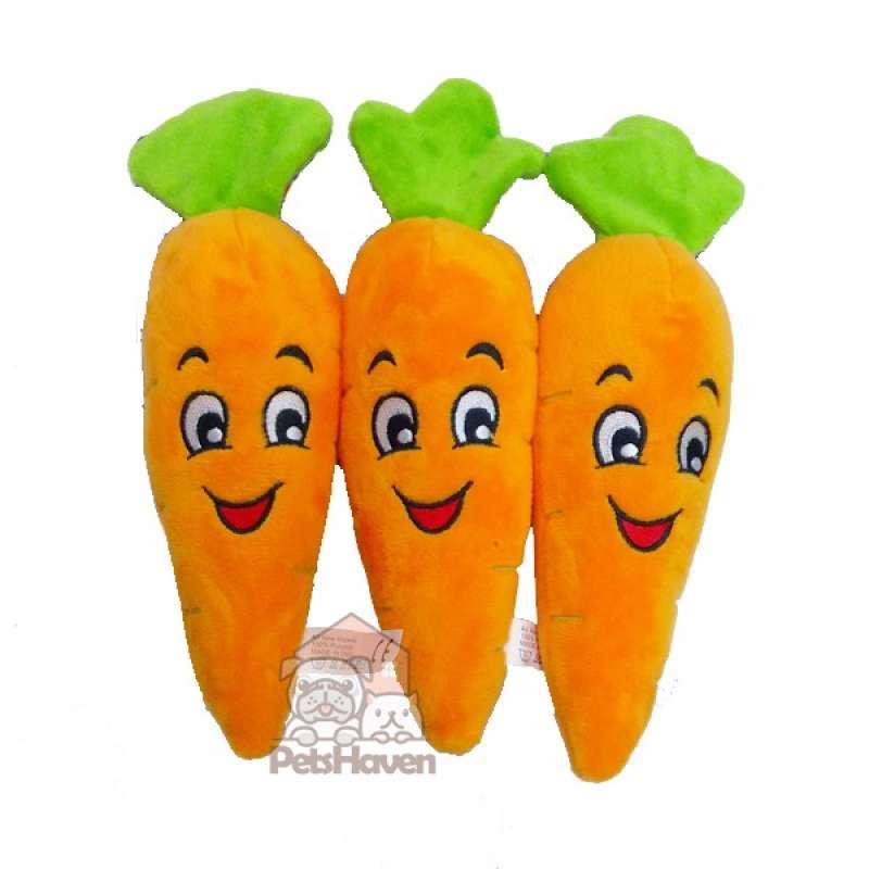 Mr carrot dog top toy