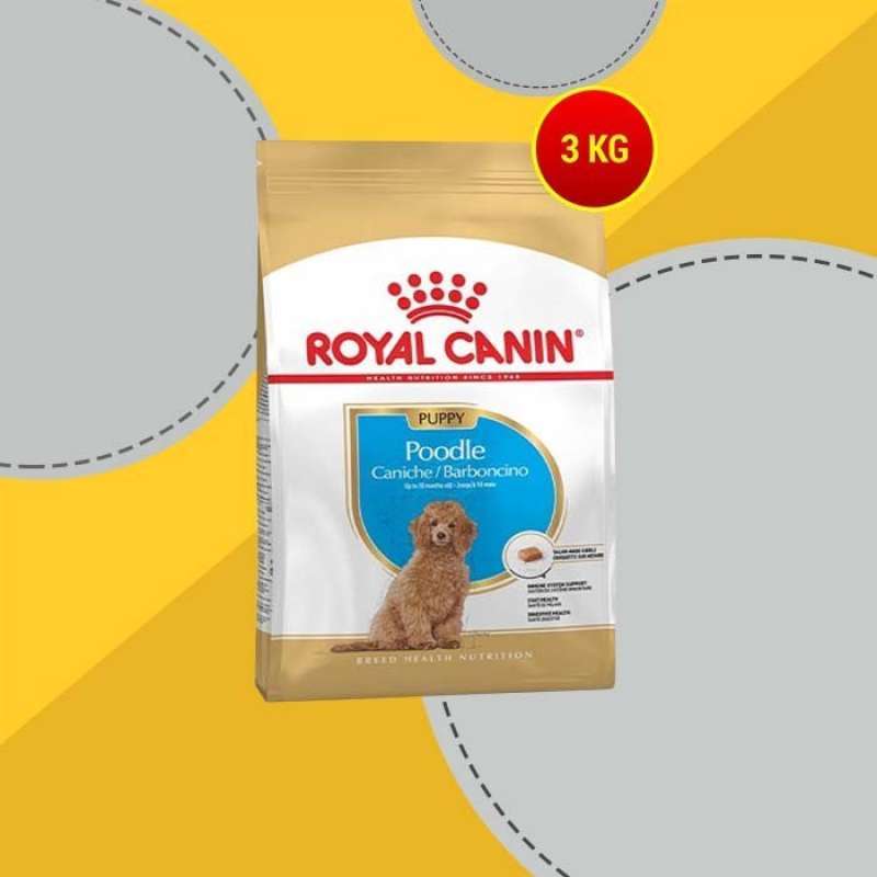Poodle junior royal canin online