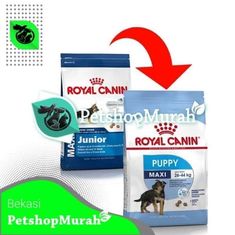 Royal Canin Medium Maxi Junior Adult Northernwolf Your Ultimate Guide to Sled Dogs and Mushing