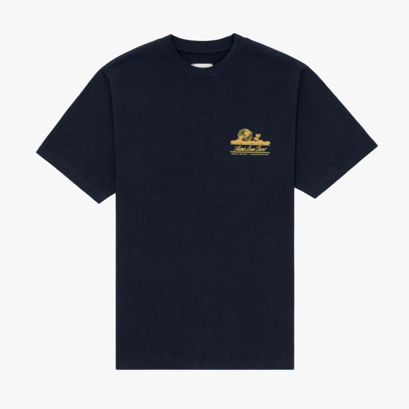 古志野焼？鶴の絵柄 花瓶 水指として使えます　ひびあり 志野 芦文 矢筈口 水指 銘 古岸 | 鶴田 純久の章 お話