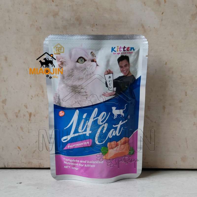 Wet food untuk kitten outlet