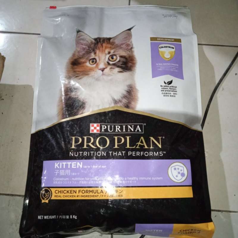 Pro plan store kitten 7kg