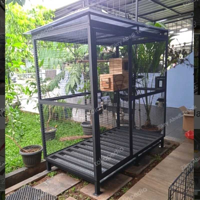 Promo Kandang Burung Beo Nuri Jalak Ayam Kate Kandang Parrot Cage Kakak Tua  Diskon 23% di Seller Sumber Raharja - Petojo Utara, Kota Jakarta Pusat |  Blibli