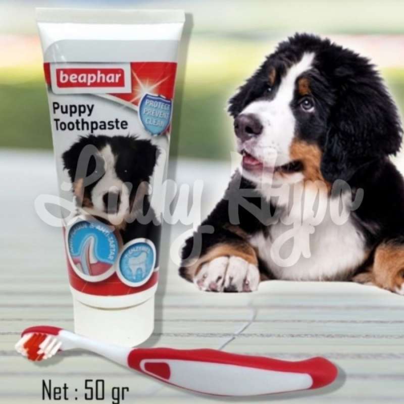 Beaphar puppy new arrivals dental kit