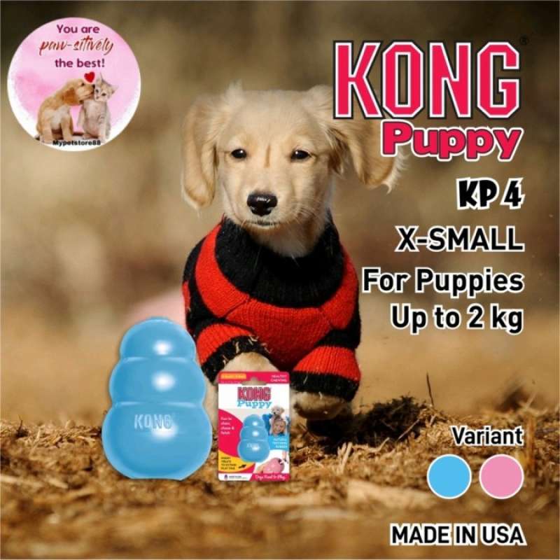 Kong puppy on sale x small