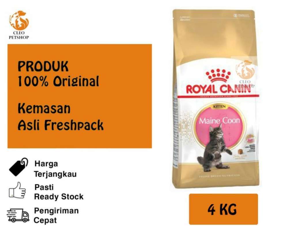 Royal canin maine coon kitten 4 kg sales