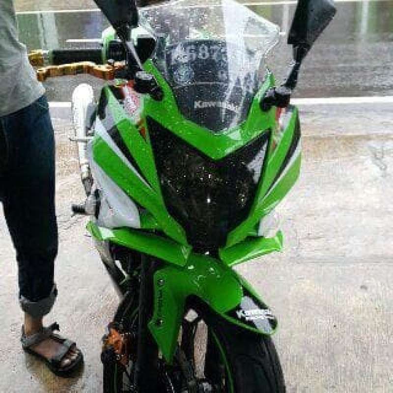 Winglet ninja 250 sl cheap
